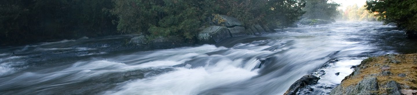 Water cascades down a short series of rapids in a secluded stretch of river